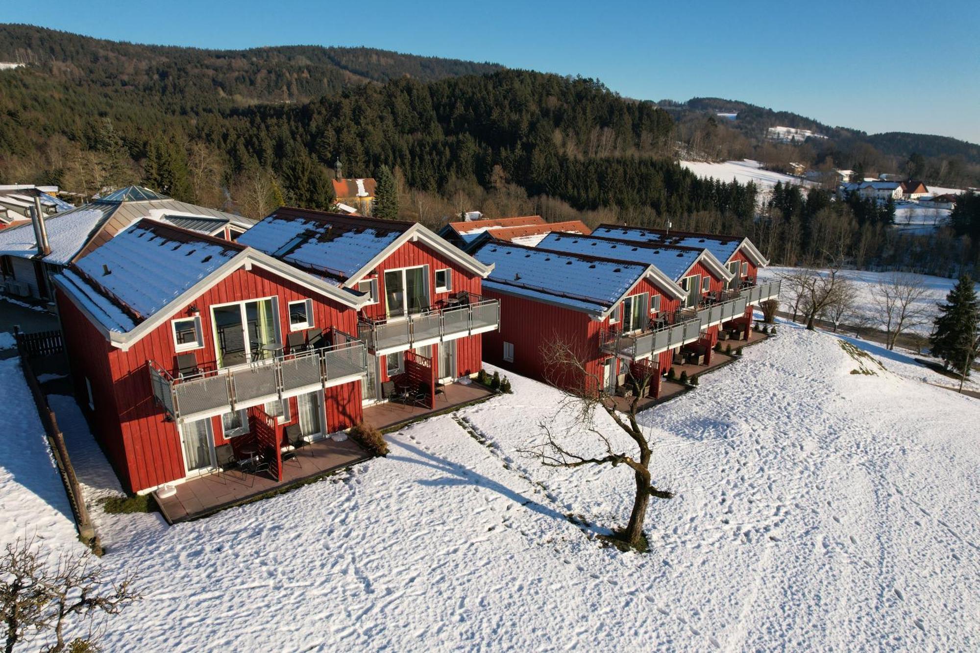 Village Hotel Bayerischer Wald Neukirchen  Екстериор снимка