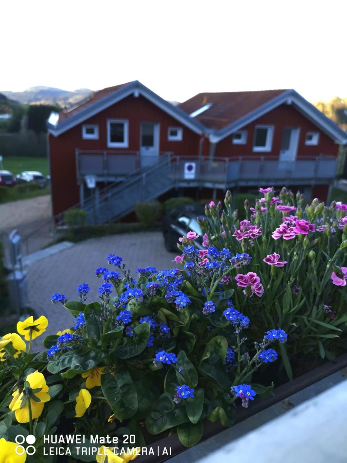 Village Hotel Bayerischer Wald Neukirchen  Екстериор снимка
