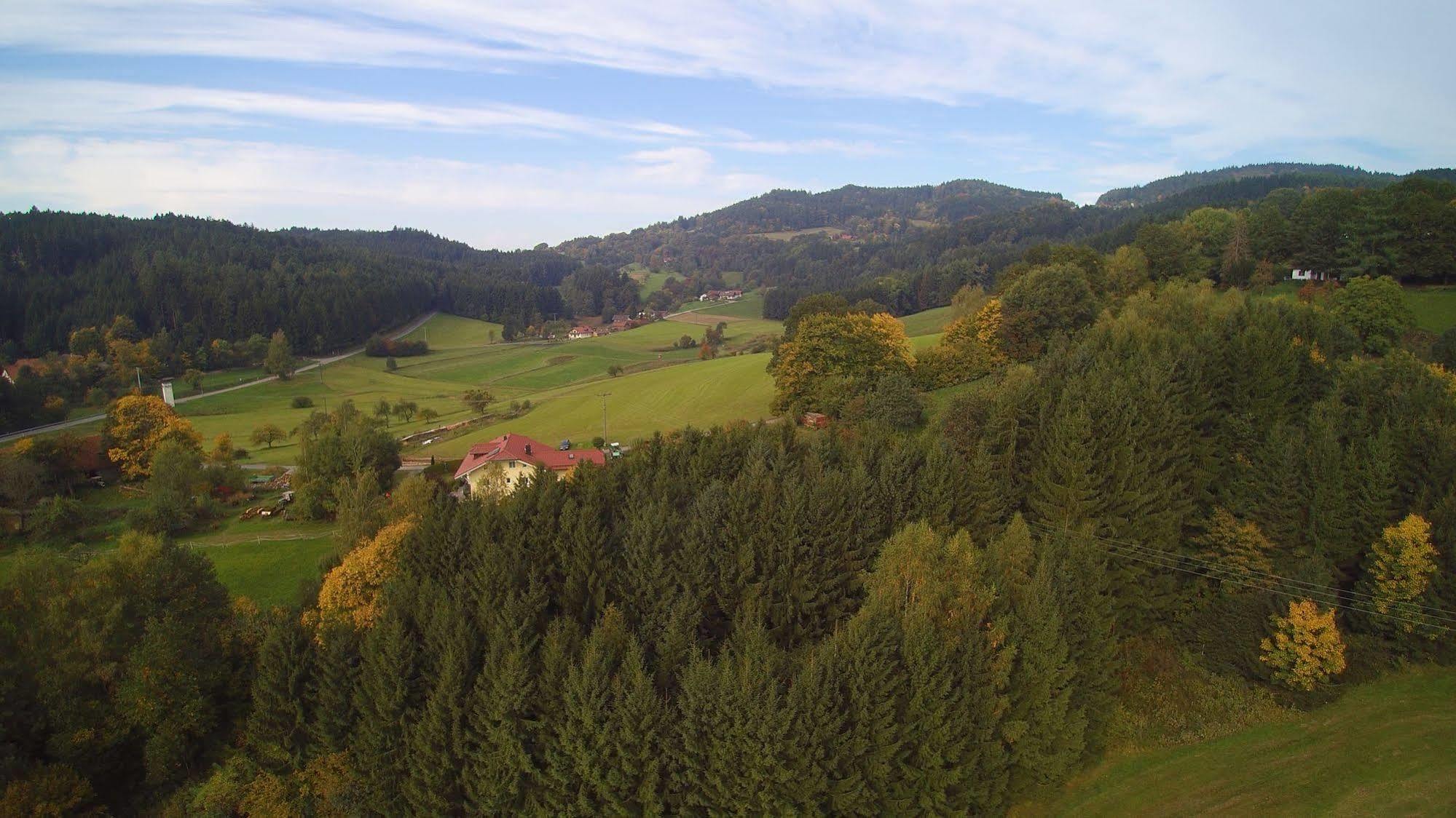 Village Hotel Bayerischer Wald Neukirchen  Екстериор снимка