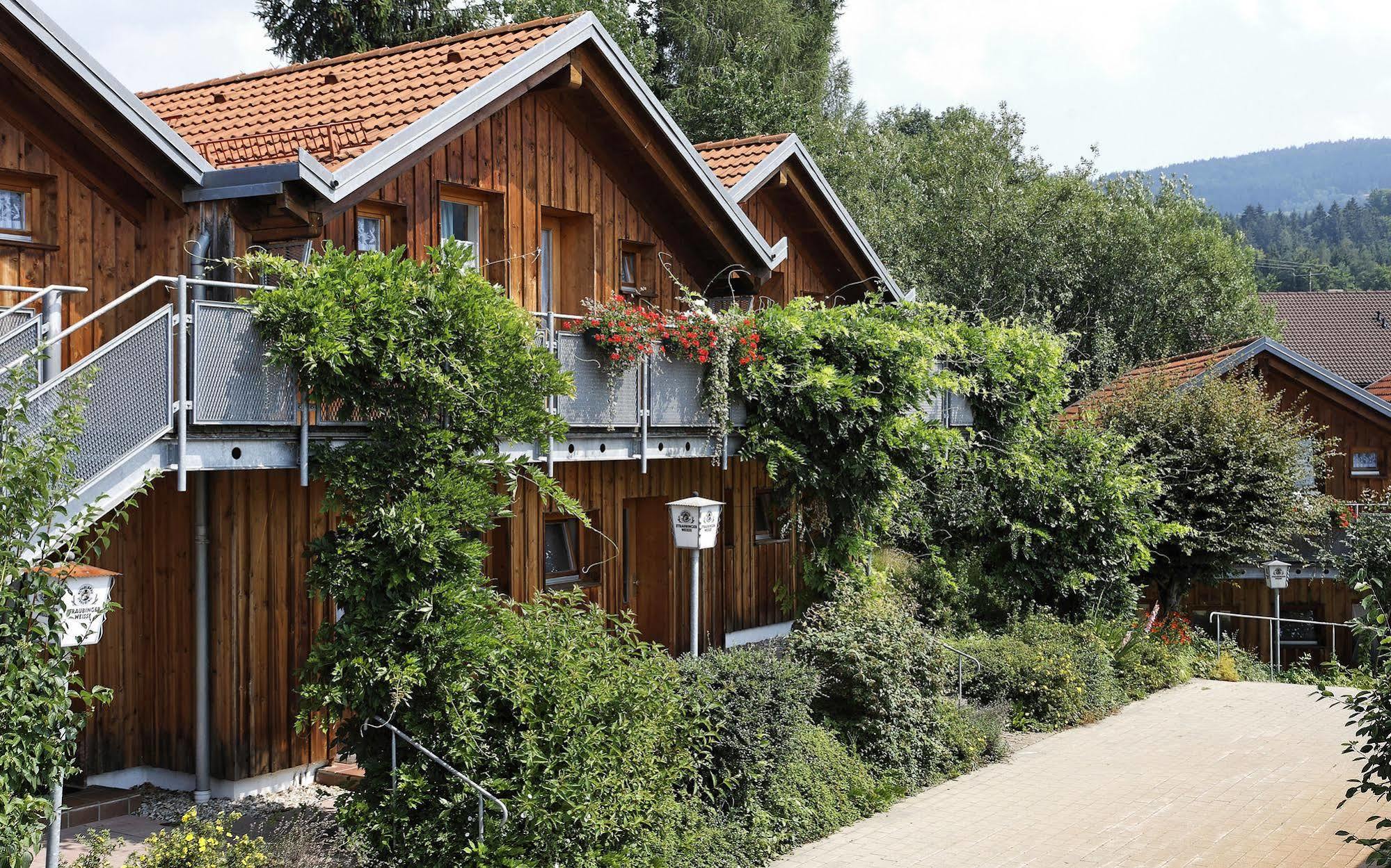 Village Hotel Bayerischer Wald Neukirchen  Екстериор снимка