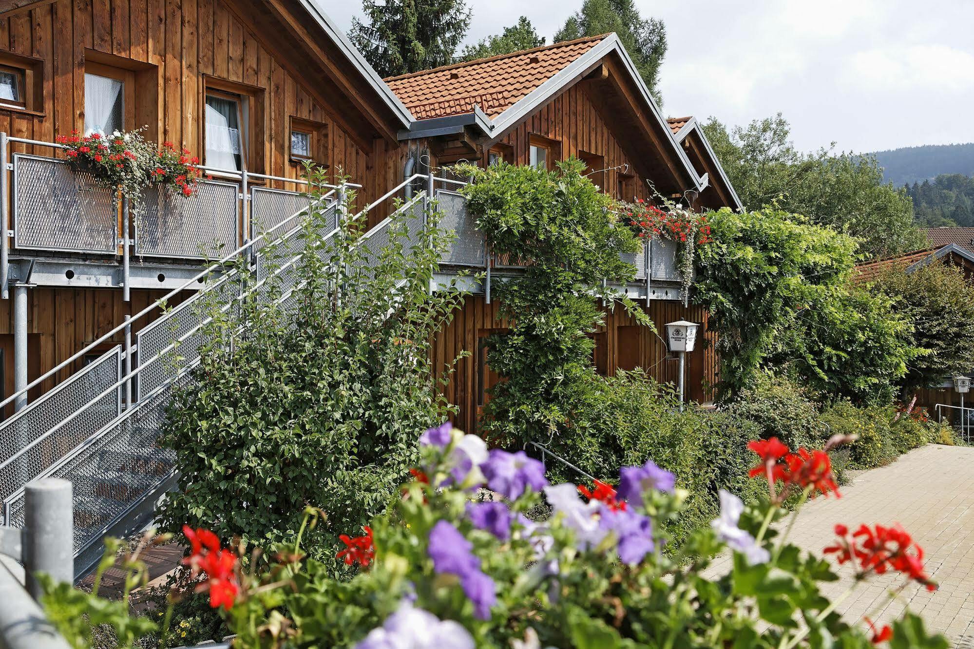 Village Hotel Bayerischer Wald Neukirchen  Екстериор снимка